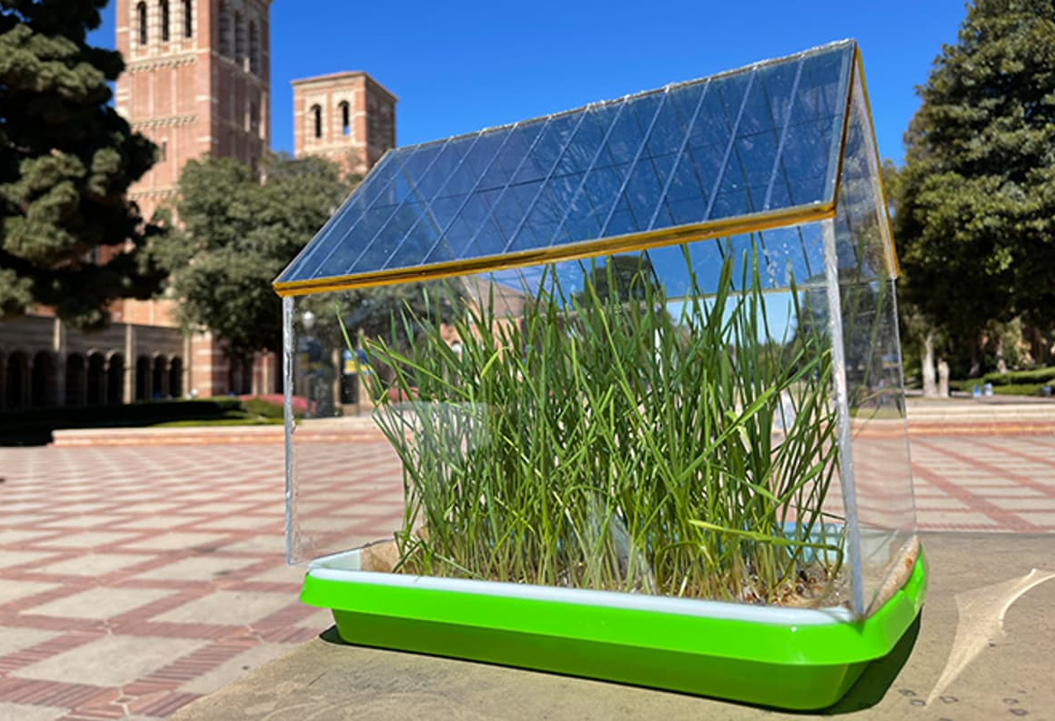 Semi-transparent Solar Cells  Boost Growth Of Greenhouse Plants